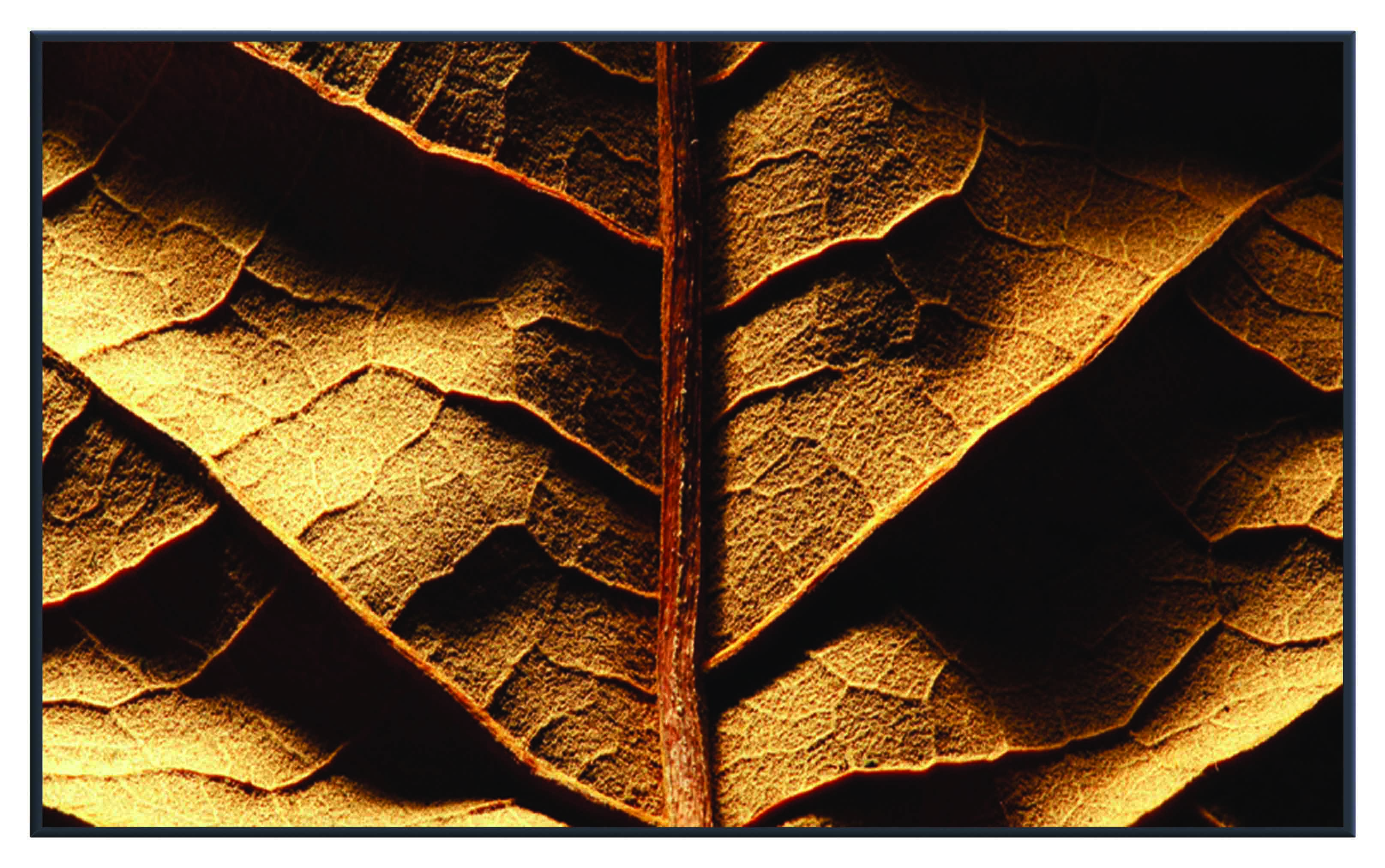 ASG259 Wall décor art printed on glass botanical